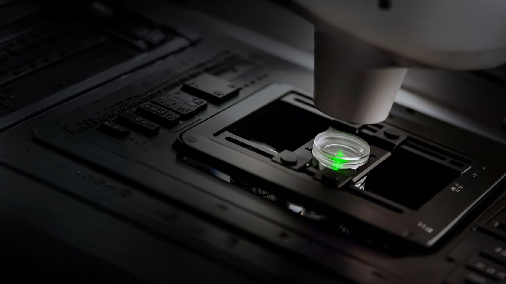 Novanta confocal laser scanning microscopy application