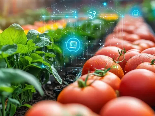 RFID tags applied to food and beverage packaging