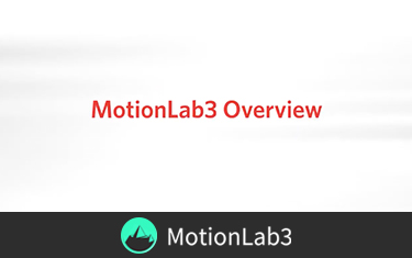 MotionLab3 Overview