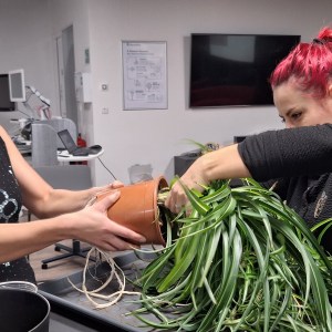 Honoring the Hidden Side of Health: Mental Health Month in Brno