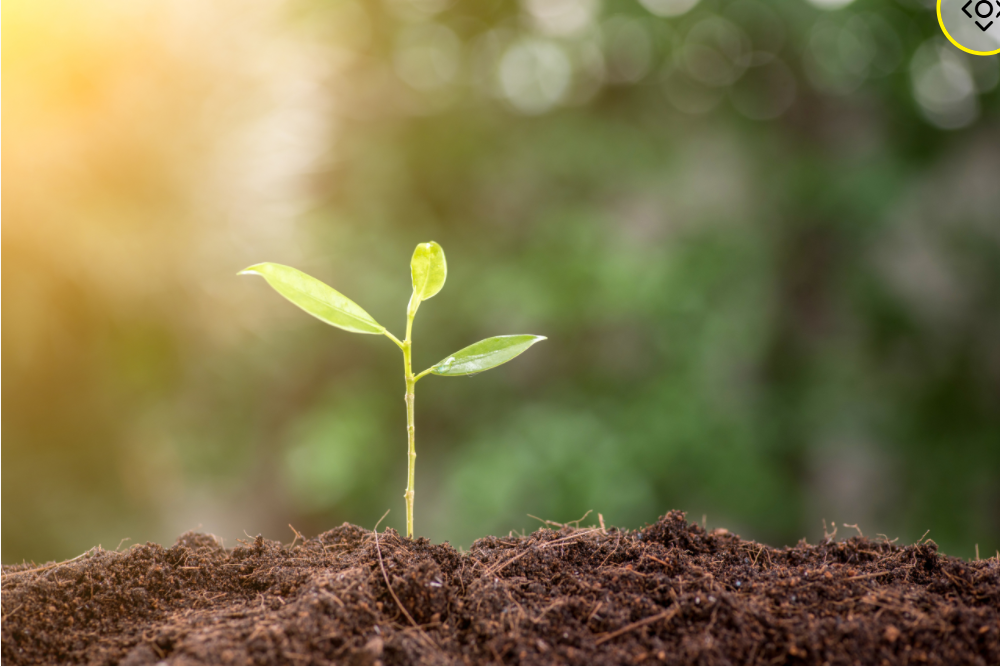 Driving us Forward with a Growth Mindset by Seth Kardos