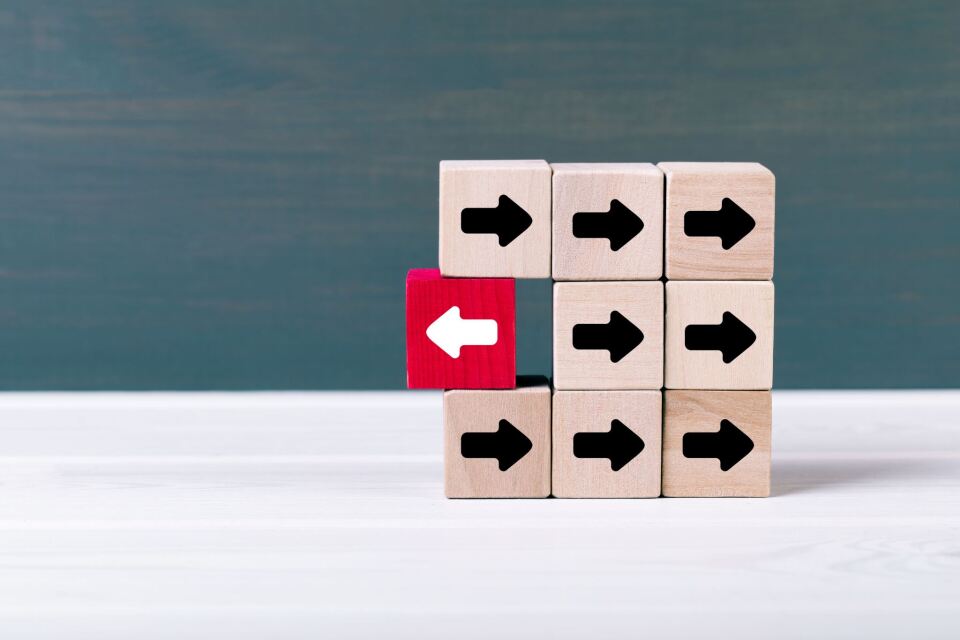 The Balancing Act of Risk-Taking