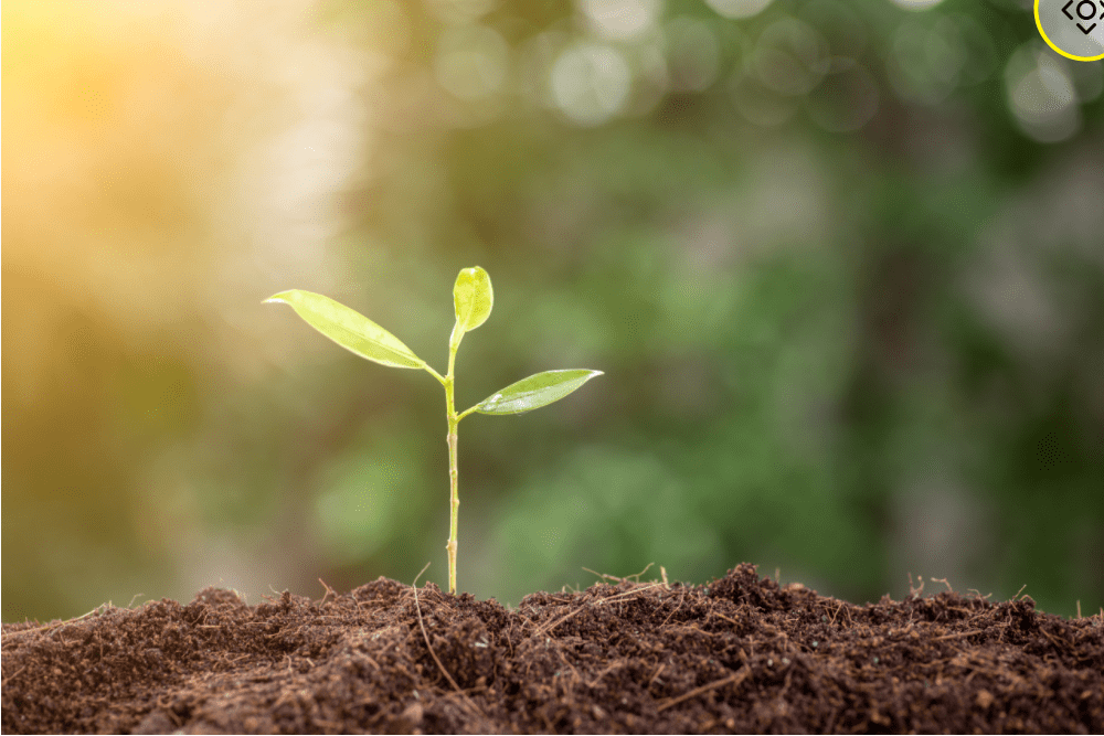 Driving us Forward with a Growth Mindset by Seth Kardos