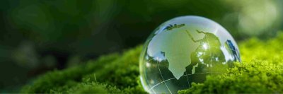 World Environment Day: How Local Actions Create Global Impact