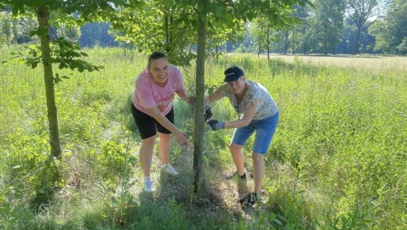External Blog: Creating Community Impact Through Volunteerism