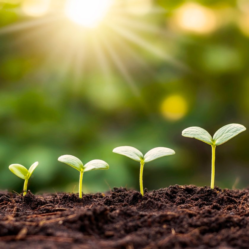 Building Connections and Unlocking Growth Across Our Global Channel Partner Network